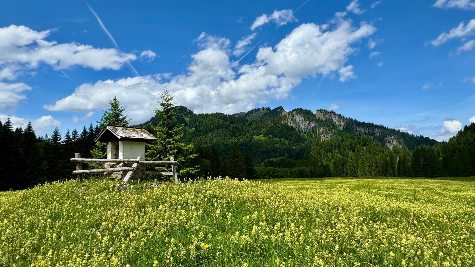 Gasthof Hirschen Sibratsgfäll المظهر الخارجي الصورة
